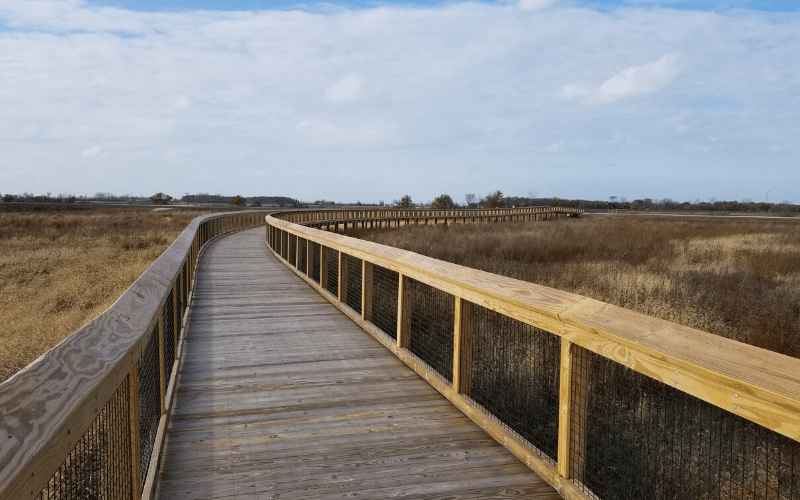 Howard Marsh Metropark Toledo