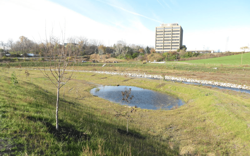 West Creek Confluence Floodplain, Cleveland